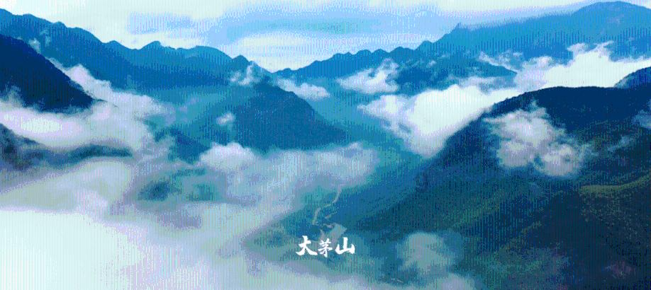 七人局